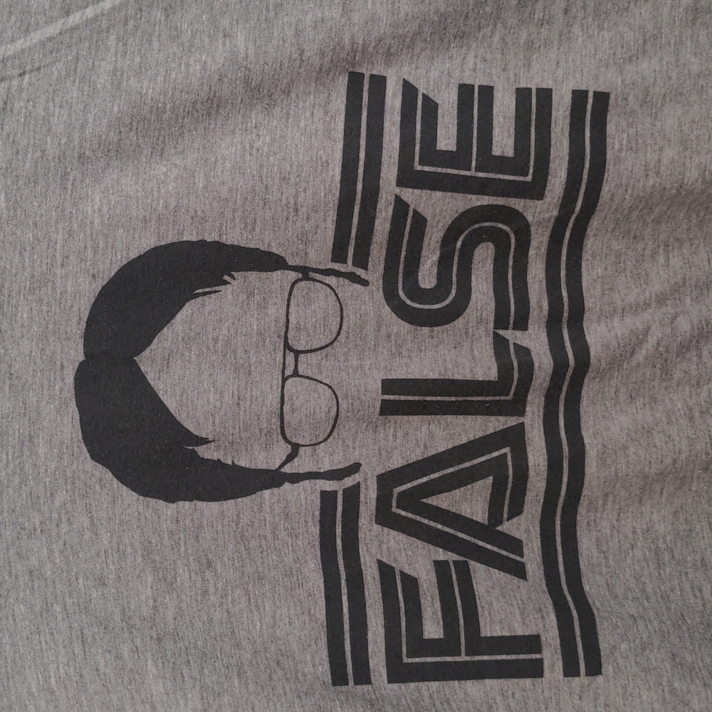 False Dwight Schrute The Office Grey Funny TV Show T-shirt